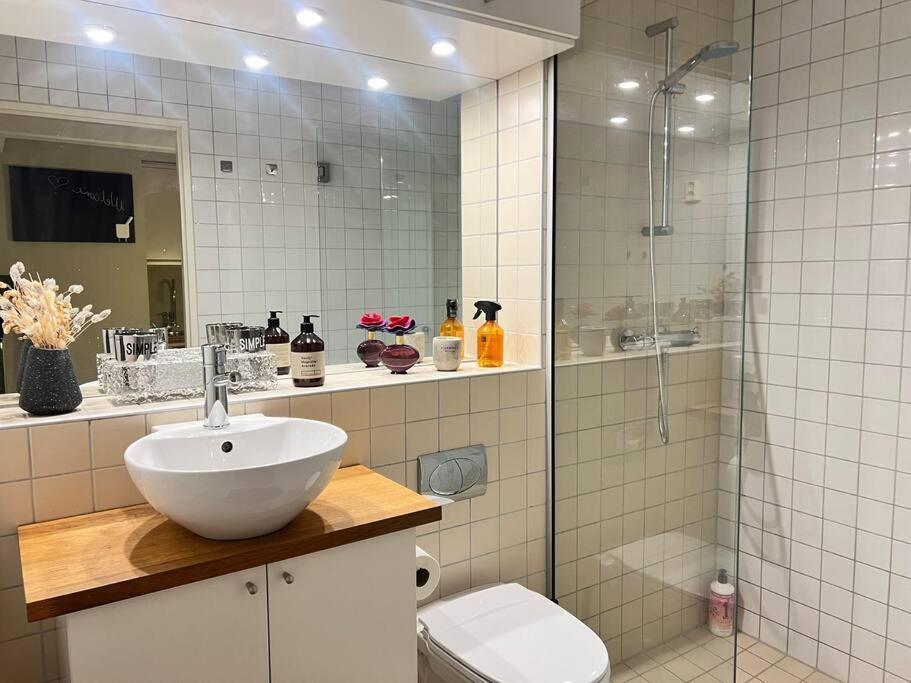 Koselig Leilighet I Sentrum Av Oslo Med Byutsikt! Exterior foto